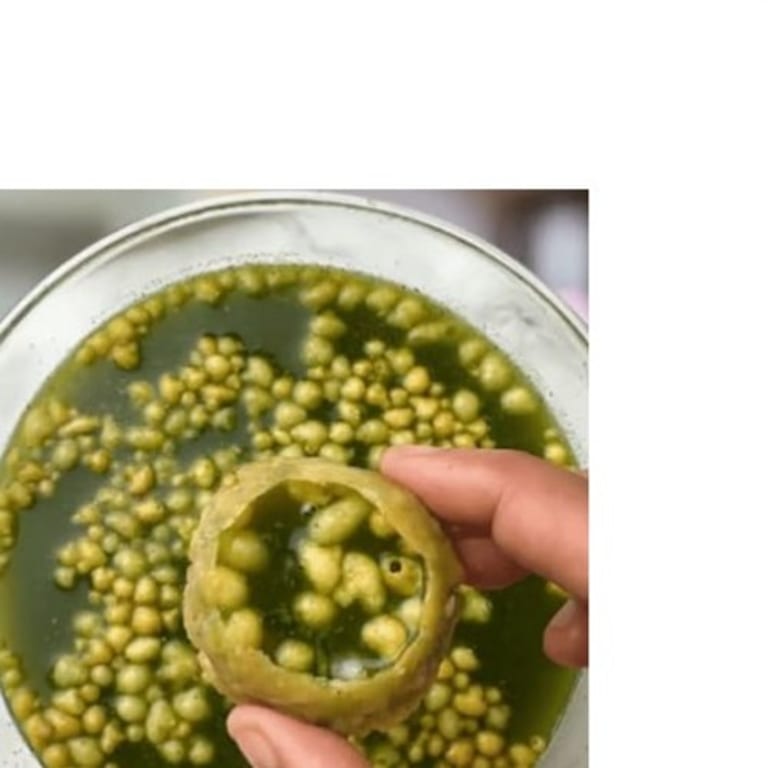 Experience the Best Puri